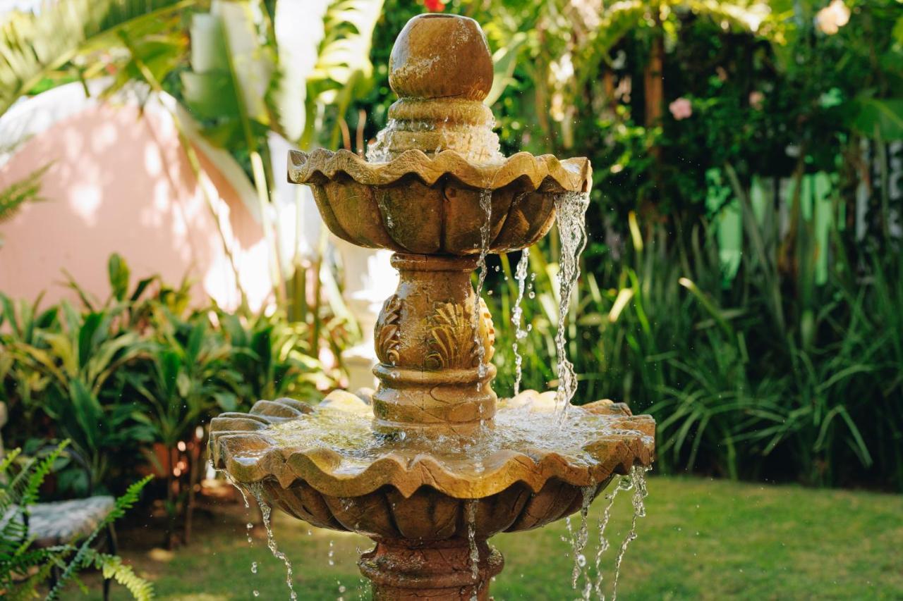 Hotel Boutique Quinta Das Videiras Florianópolis Dış mekan fotoğraf