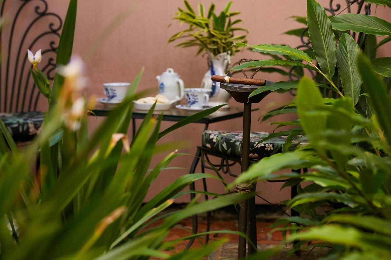Hotel Boutique Quinta Das Videiras Florianópolis Dış mekan fotoğraf