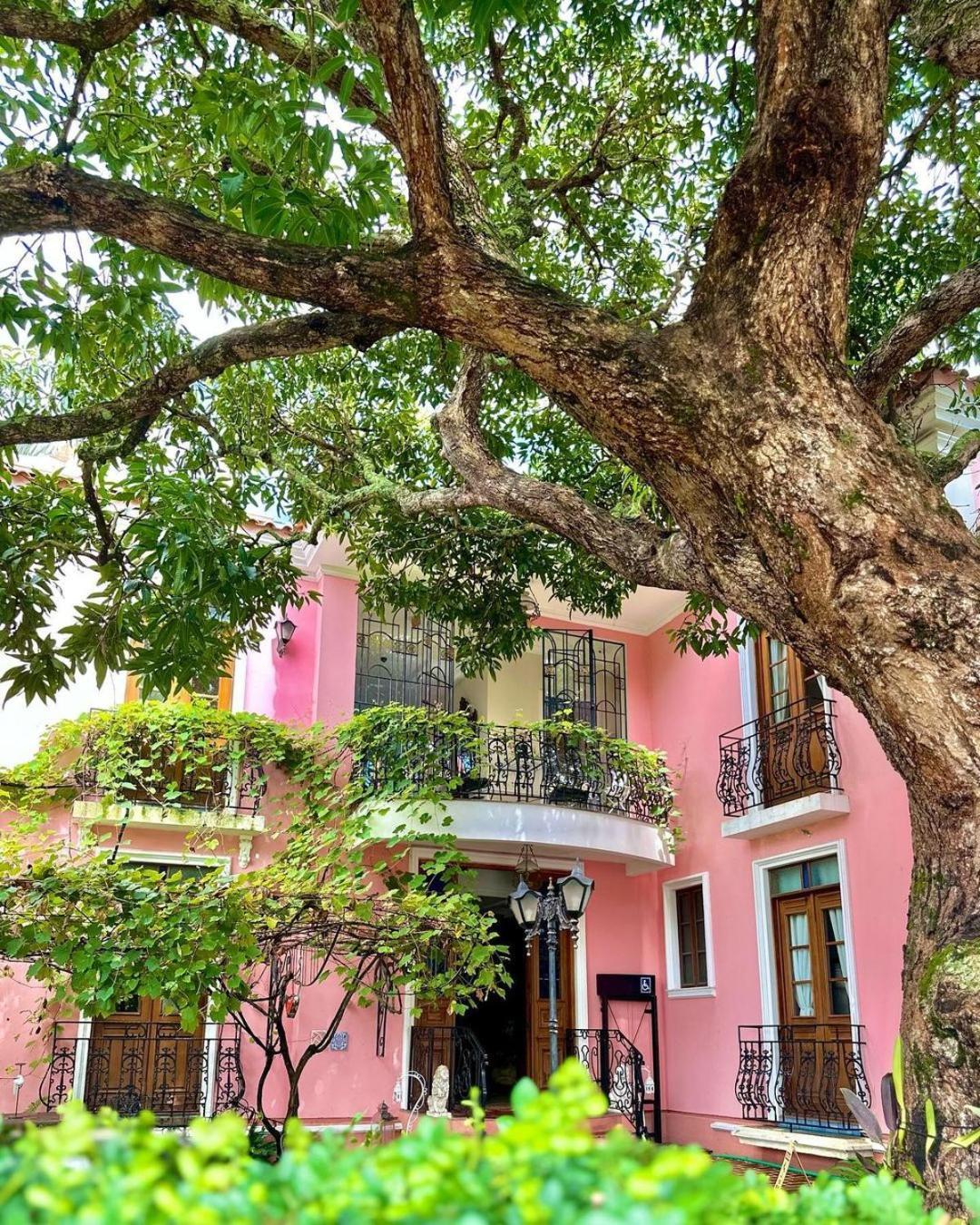 Hotel Boutique Quinta Das Videiras Florianópolis Dış mekan fotoğraf